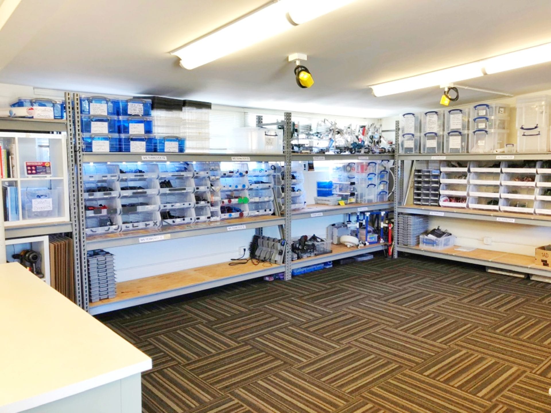 organized storage space with large storage shelves professional organizer help